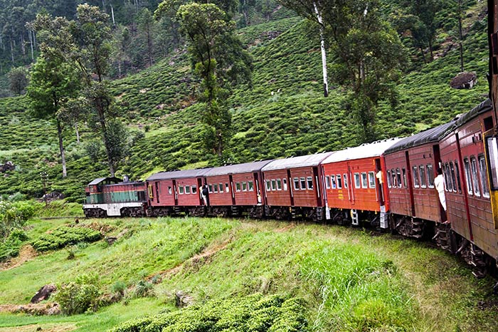Opciones de viaje desde Colombo a Kandy