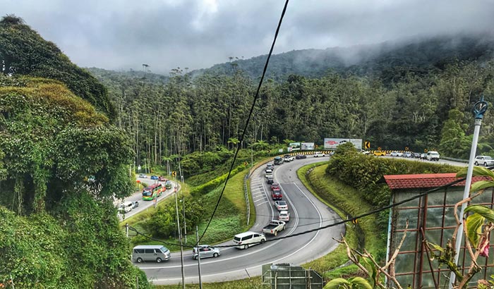 Opciones de viaje desde Singapur a Cameron Highlands