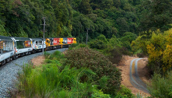 Auckland a Hamilton en tren